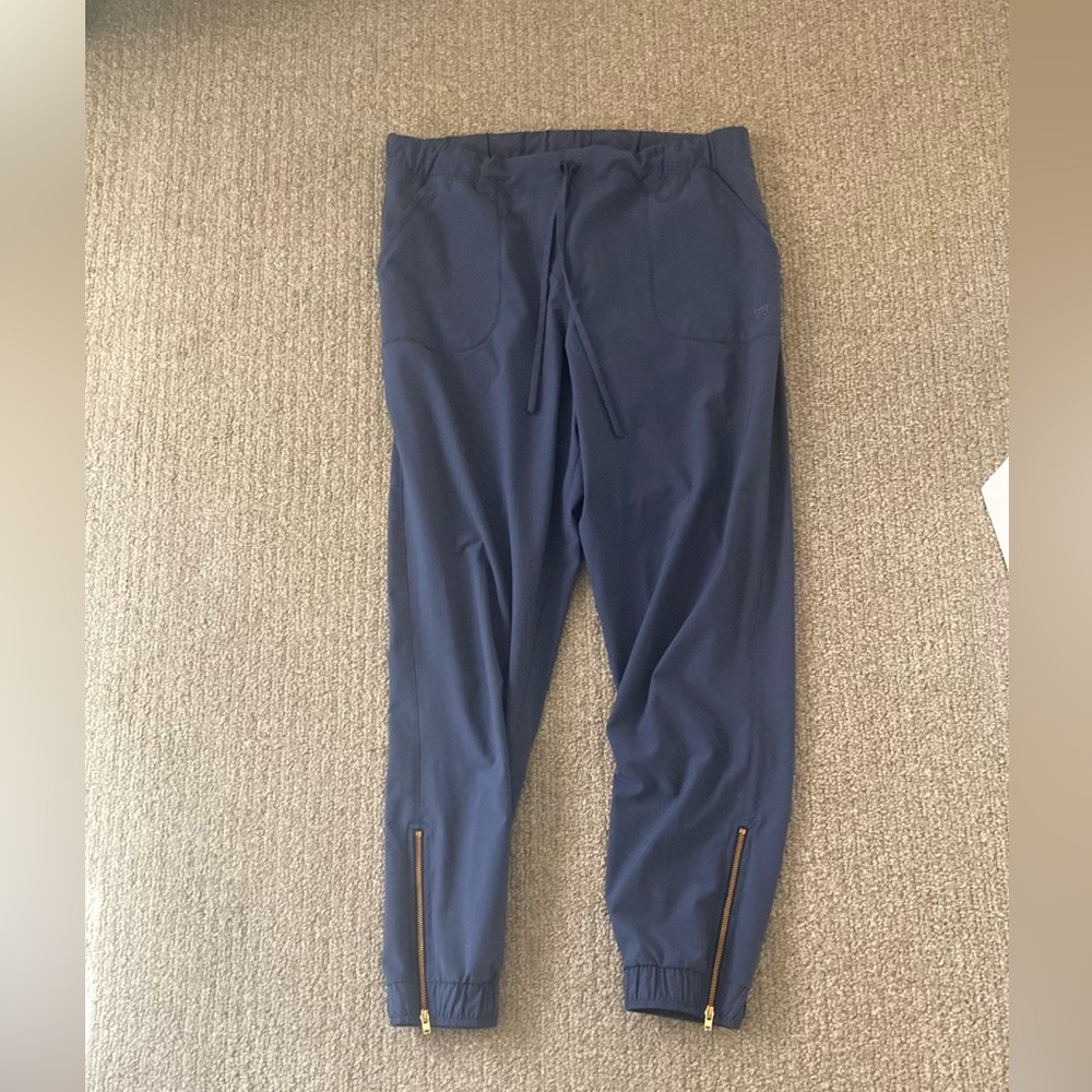 Albion fit joggers